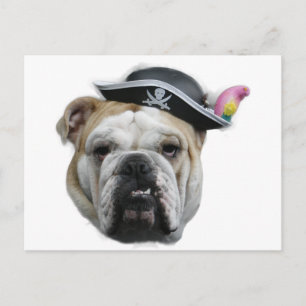 Postal Bulldog pirata