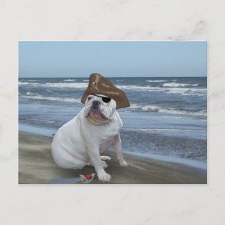 Postal Bulldog Pirata en la playa