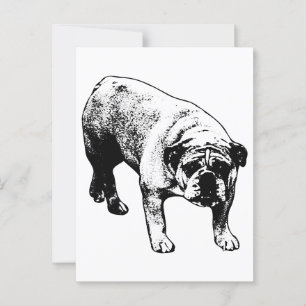Postal Bulldog por correo