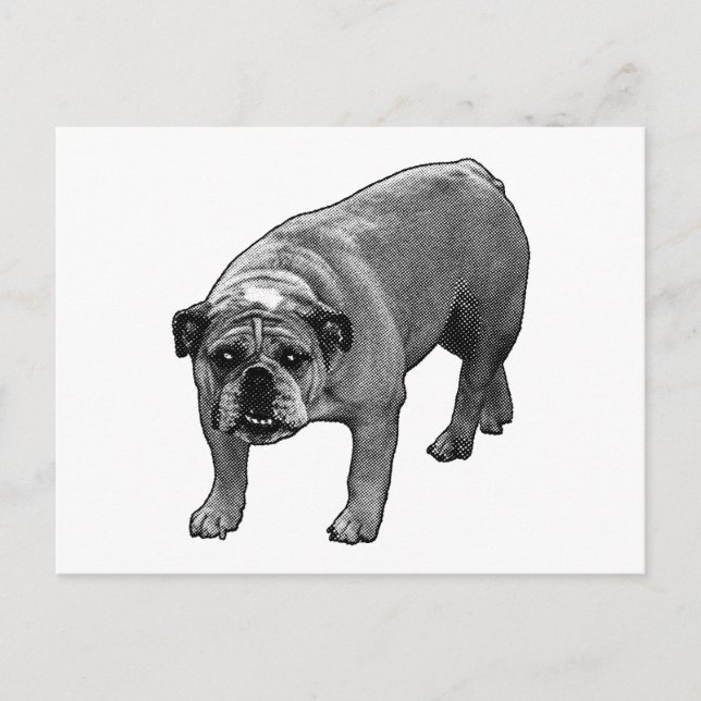 Postal Bulldog rápido de Salud (Anverso)