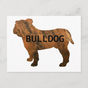 Postal bulldog rojo romano le name silo