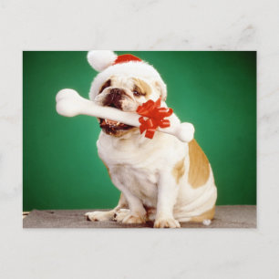 Postal Bulldog X-mas con gorra de x-mas y hueso