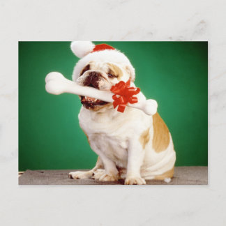 Postal Bulldog X-mas con gorra de x-mas y hueso