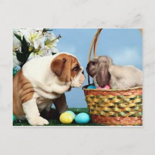 Postal Bulldog y conejo