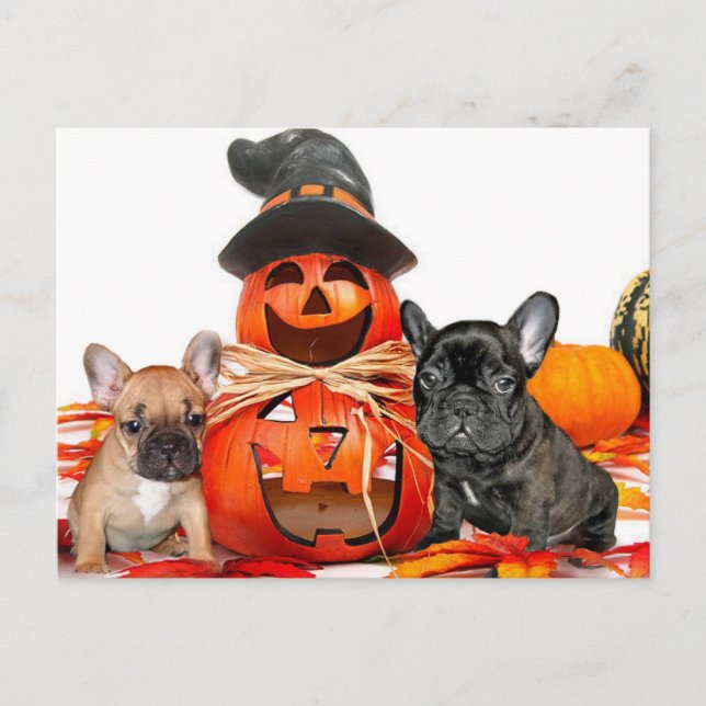 Postal Bulldoges de Halloween (Anverso)