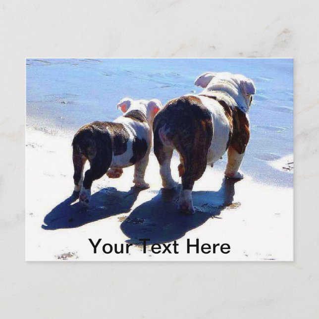 Postal Bulldoges de Inglaterra (Anverso)