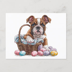 Postal Bulldoges en inglés de Pascua