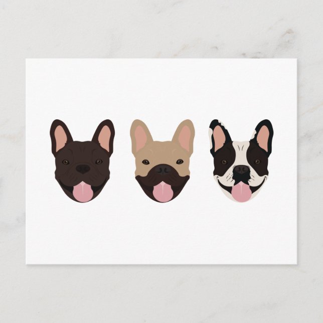 Postal Bulldoges franceses sonriendo (Anverso)