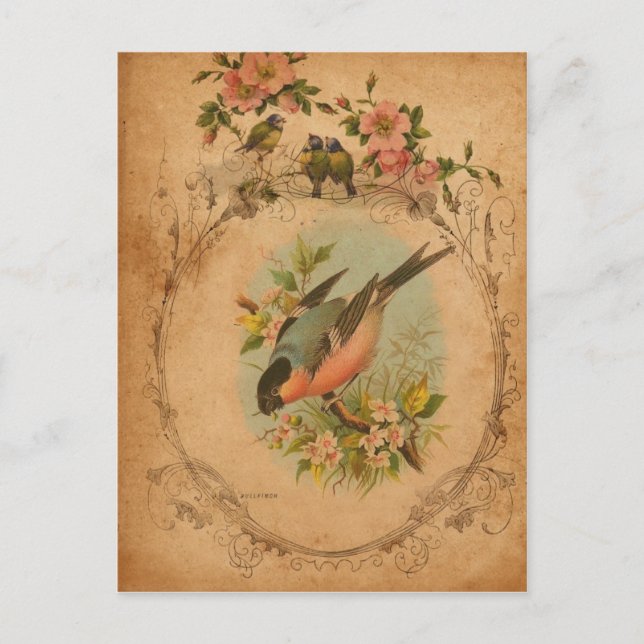 Postal Bullfinch (Anverso)