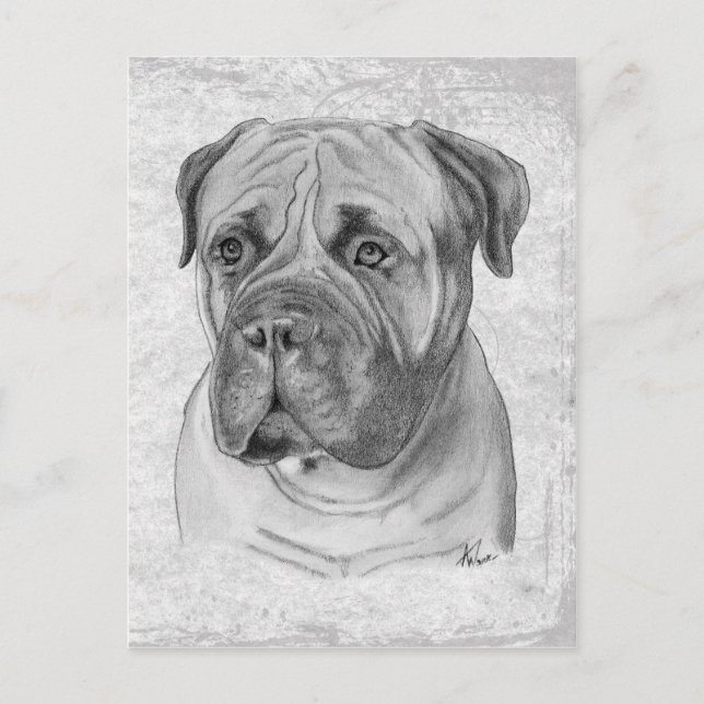 Postal Bullmastiff (Anverso)