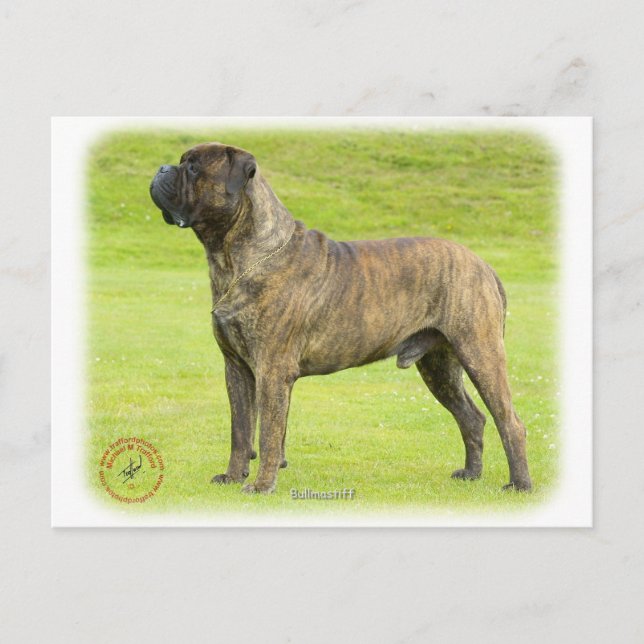 Postal Bullmastiff 9R071D-077 (Anverso)