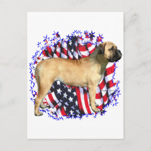 Postal Bullmastiff Patriot