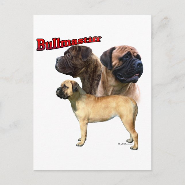 Postal Bullmastiff Trio 2 (Anverso)