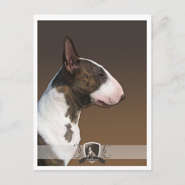 Postal Bullterrier PostCard 2011 (Anverso)
