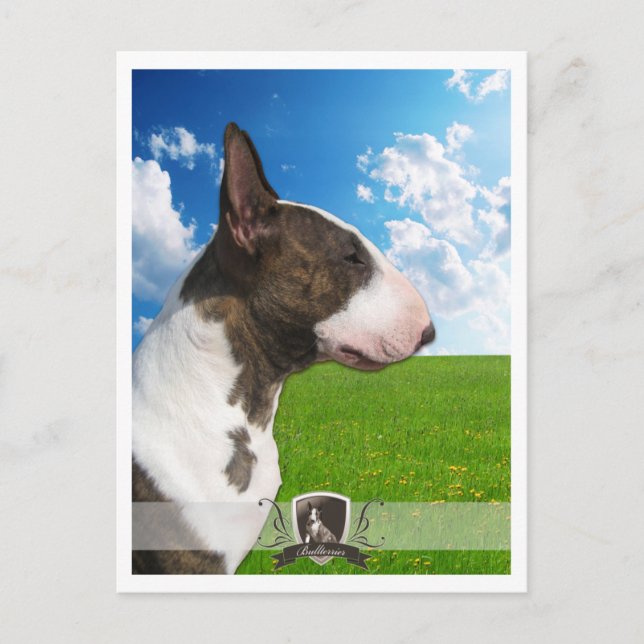 Postal Bullterrier PostCard 2011 (Anverso)