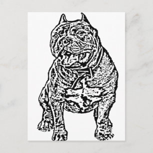 Postal Bully Dog de Estados Unidos