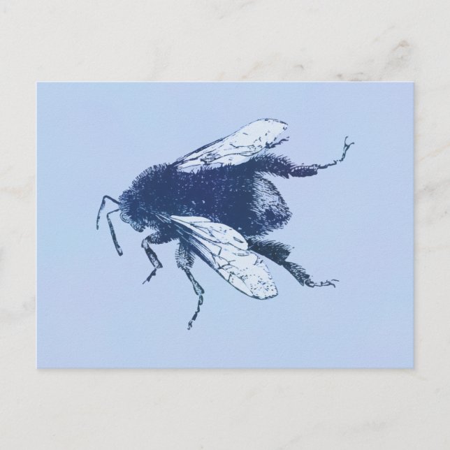 Postal Bumble acuático (Anverso)