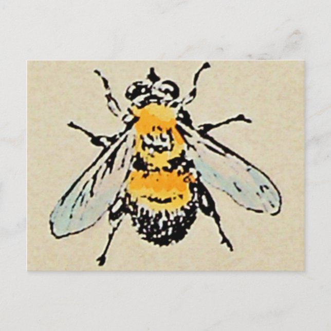Postal Bumble Bee (Anverso)
