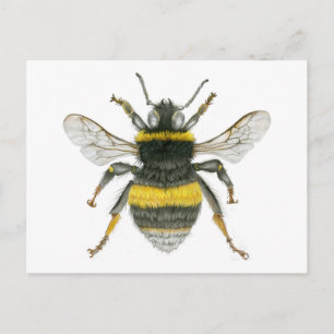 Postal Bumble Bee