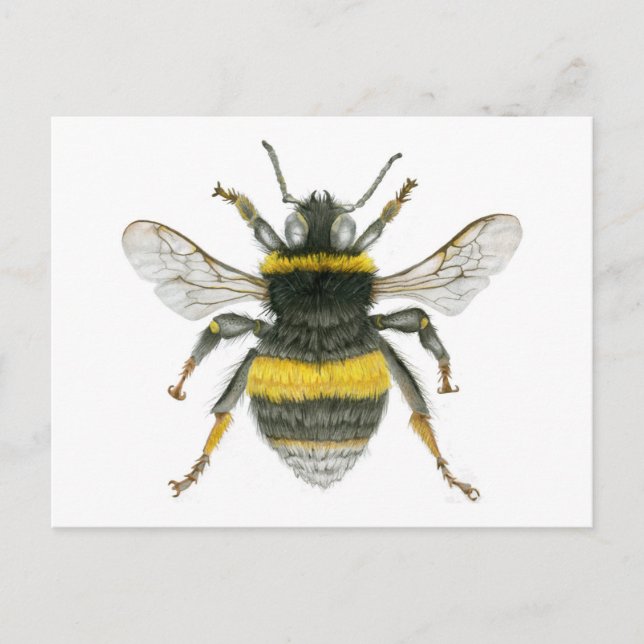 Postal Bumble Bee (Anverso)