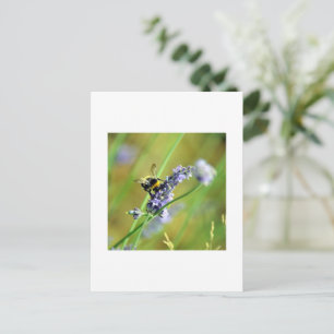 Postal Bumblebee y Lavender