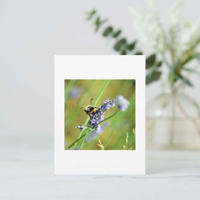 Postal Bumblebee y Lavender (Anverso de pie)