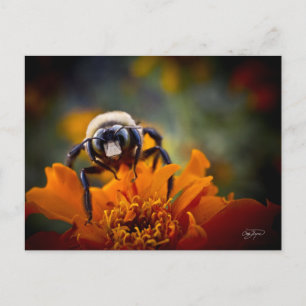 Postal Bunble Bee