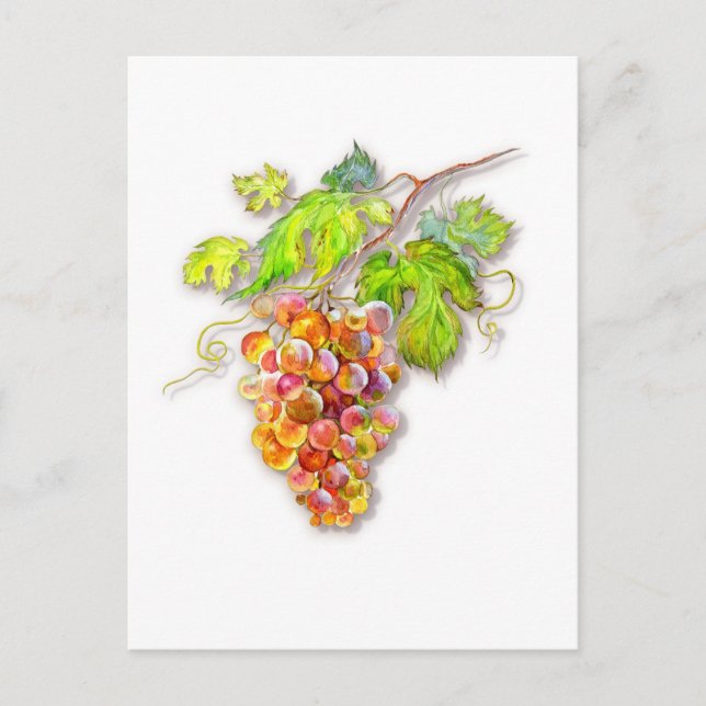 Postal Bunch de uvas (Anverso)