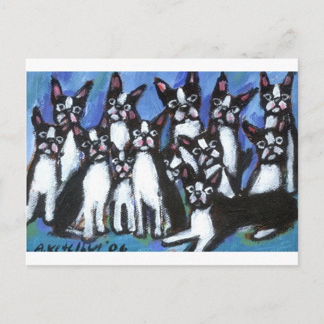 Postal Bunch of Bostons (Anverso)