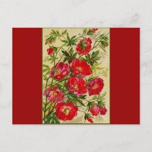 Postal Bunch of Red Flowers
