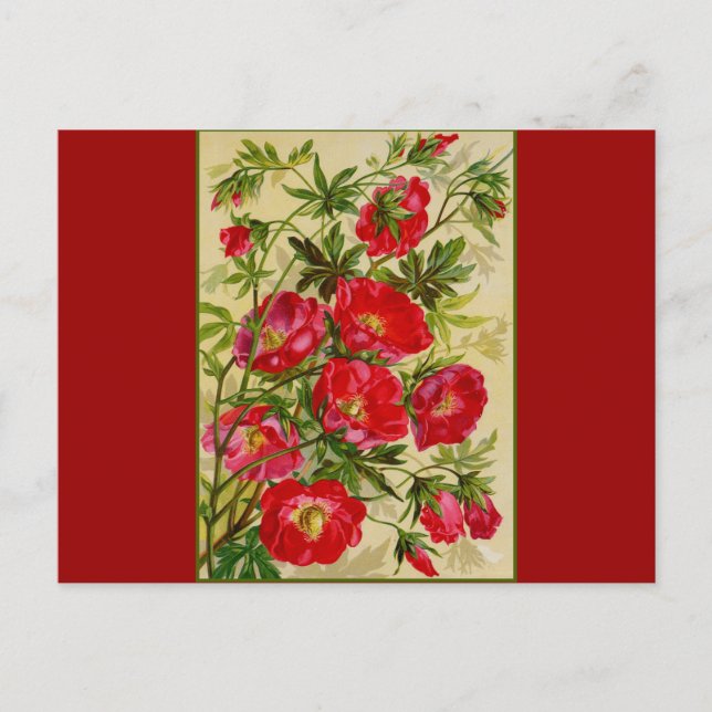 Postal Bunch of Red Flowers (Anverso)