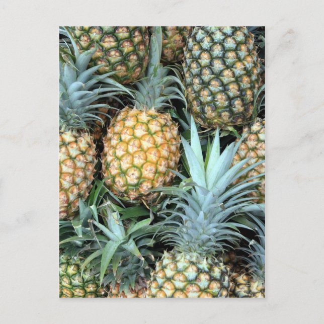 Postal Bunch of Tropical Hawaiian Pineapples (Anverso)