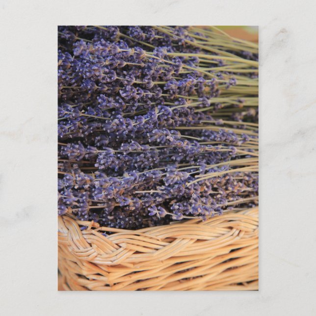 Postal Bunches de Lavendel (Anverso)