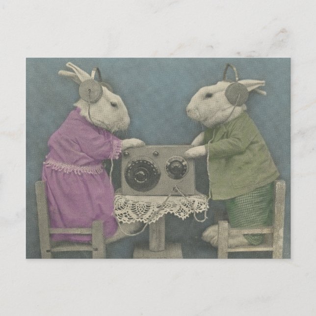 Postal Bunnies audiófilos (Anverso)