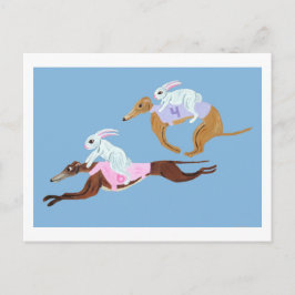 Postal Bunnies riding Greyhounds
