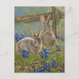 Postal Bunnies y Bluebonnets