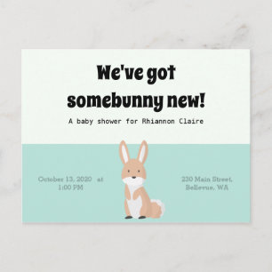 Postal Bunny Baby Shower
