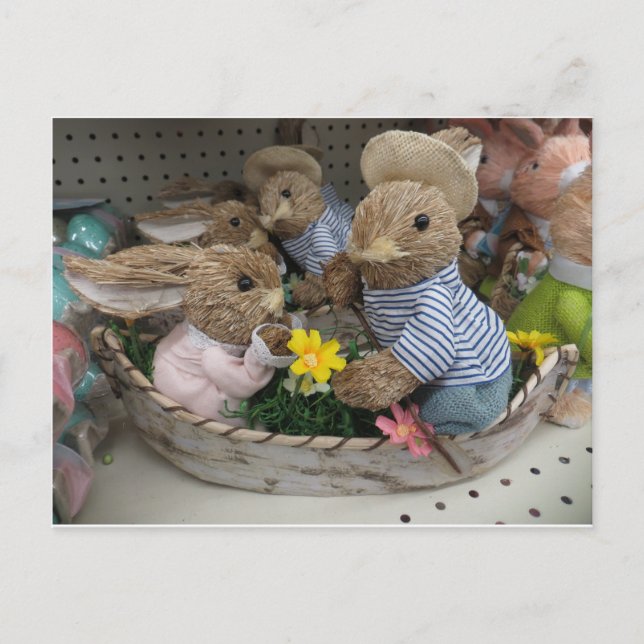 Postal Bunny Boat (Anverso)