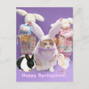 Postal Bunny Bubba 2
