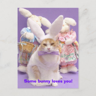 Postal Bunny Bubba 3