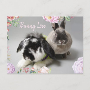 Postal Bunny Love