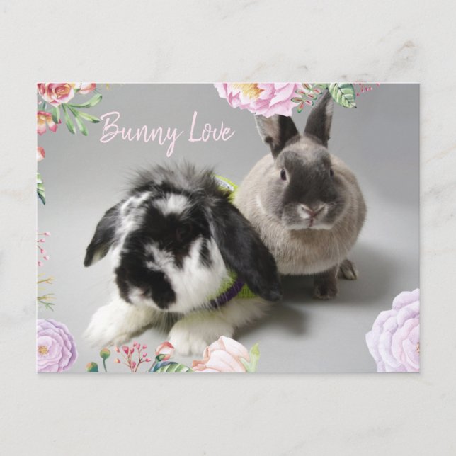 Postal Bunny Love (Anverso)