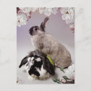 Postal Bunny Love