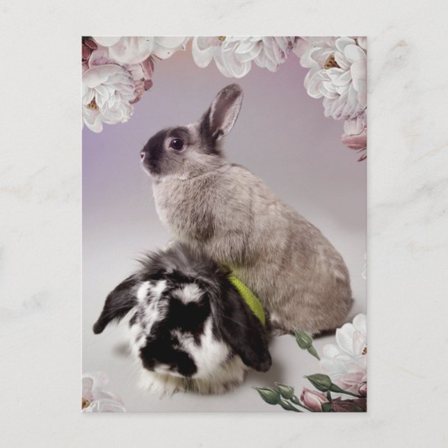 Postal Bunny Love (Anverso)