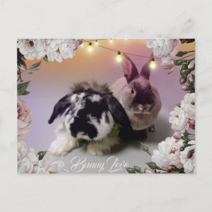 Postal Bunny Love