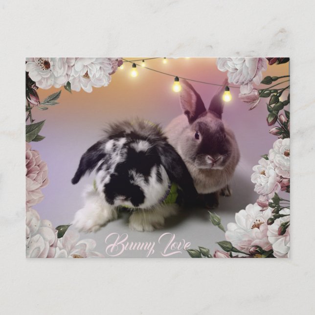 Postal Bunny Love (Anverso)