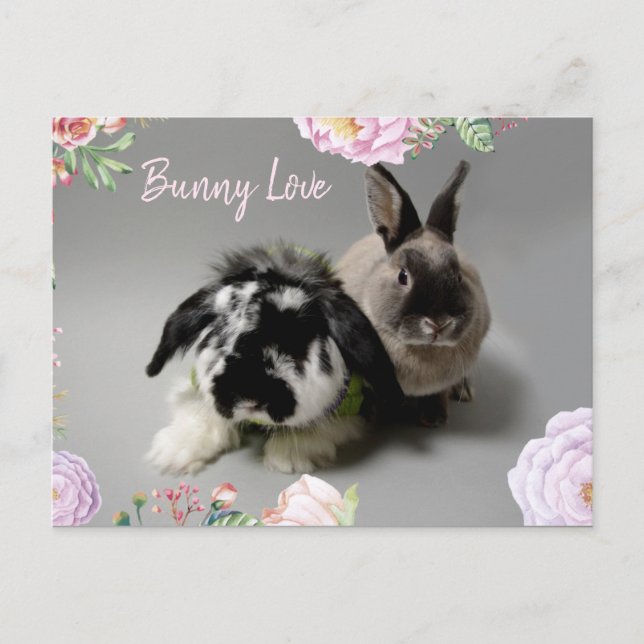 Postal Bunny Love (Anverso)