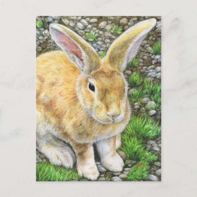 Postal Bunny Pastel (Anverso)