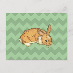 Postal Bunny Sage Chevron Duo