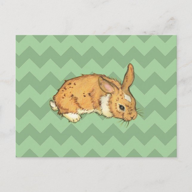 Postal Bunny Sage Chevron Duo (Anverso)